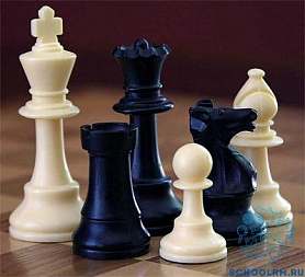 Участие во Всероссийских соревнованиях по шахматам среди команд детских домов и школ - интернатов